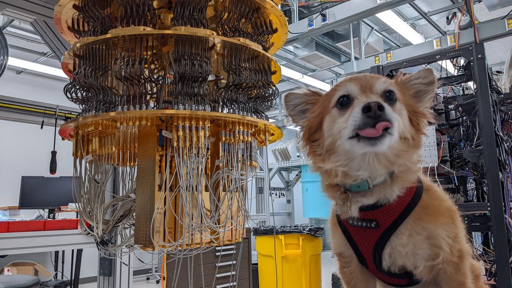 Qubit the dog on the big questions in quantum computing